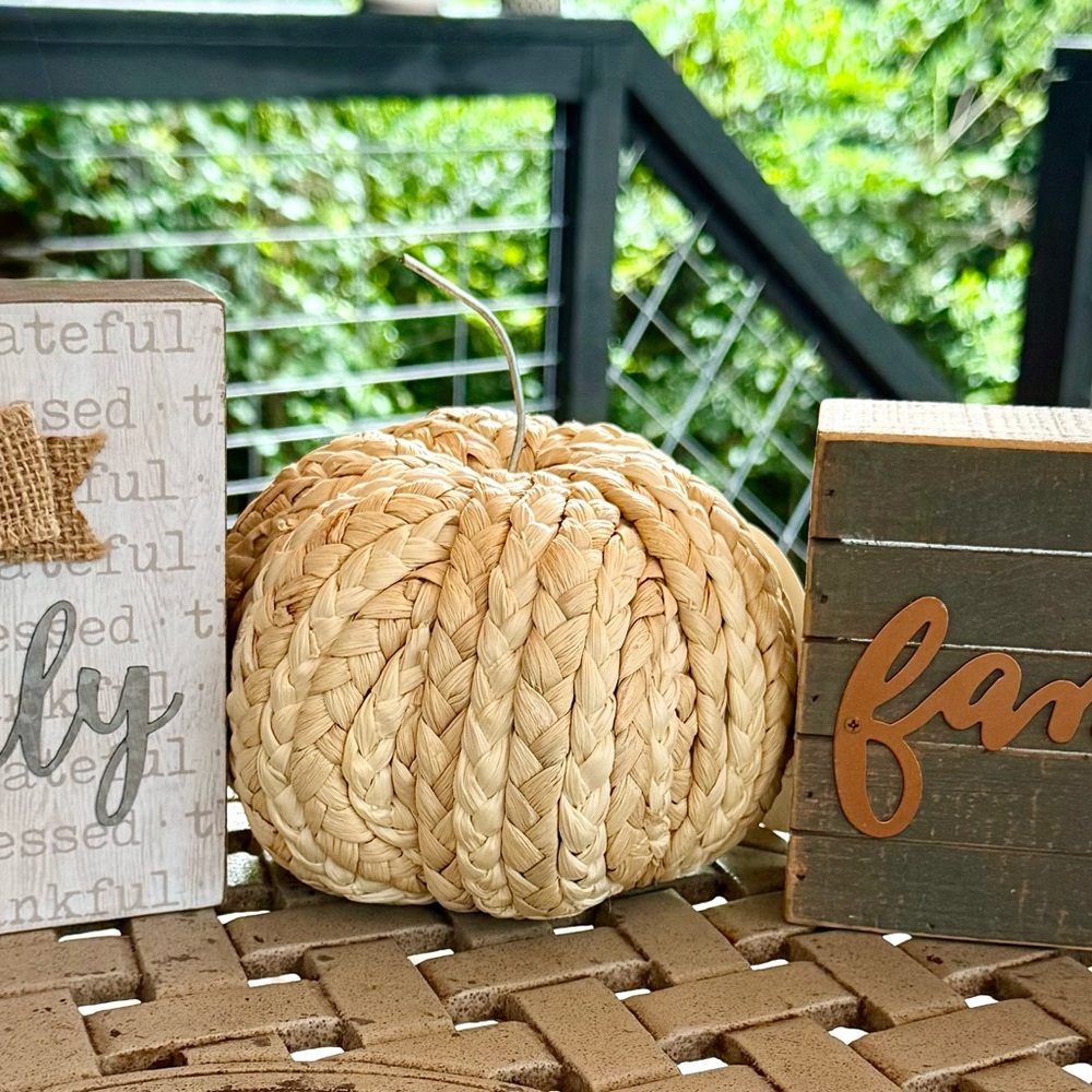 Threshold Natural Woven Pumpkin Decor